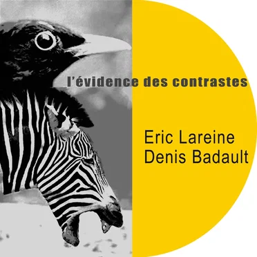 L'Évidence des contrastes