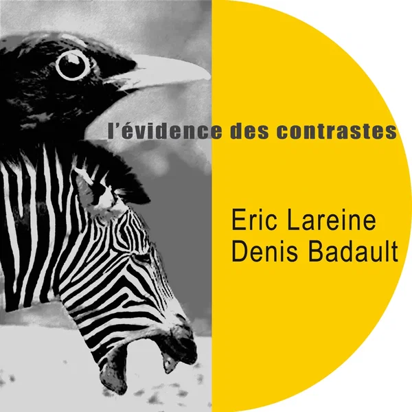 L'Évidence des contrastes