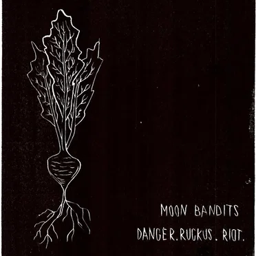 Danger. Ruckus. Riot. by Moon Bandits - album cover