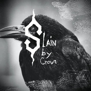 Braving the Storm by Slain by Crows - album cover