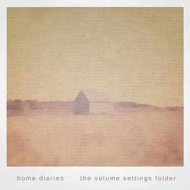 Home Diaries 017