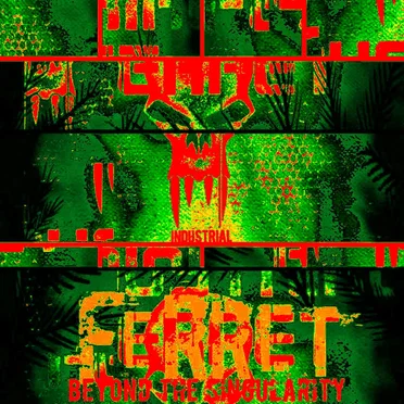 Beyond the Singularity