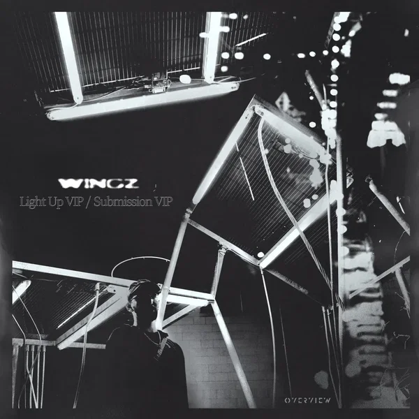 Light Up VIP / Submission VIP