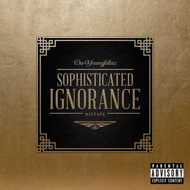 Sophisticated Ignorance