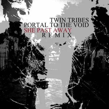 Portal to the Void (She Past Away remix)