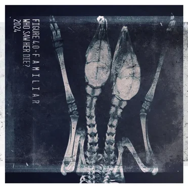 Familiar by Who Saw Her Die? - album cover