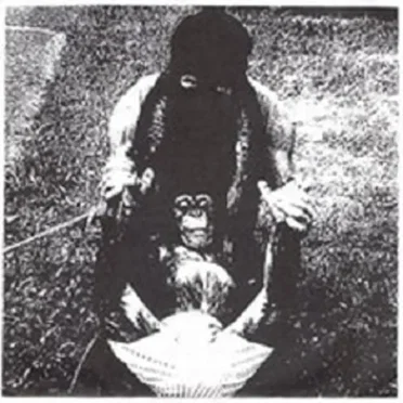 Tests for New Swords / Good Friday