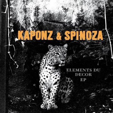 Éléments du décor by Kaponz & Spinoza - album cover