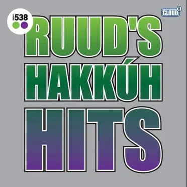 Ruud’s Hakkuh Hits by Various Artists - album cover