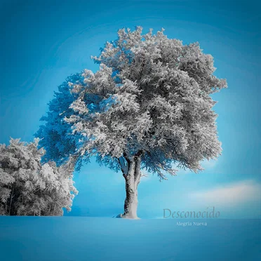 Desconocido