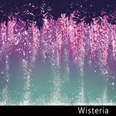 Wisteria by regulus - album cover