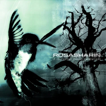 If This Letter Leaves Candlelight by Rosasharin - album cover