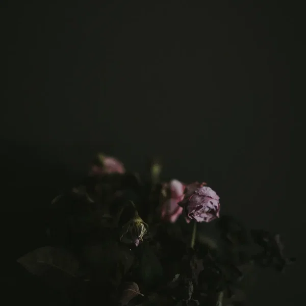 Epitaph Epiphanies