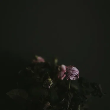 Epitaph Epiphanies