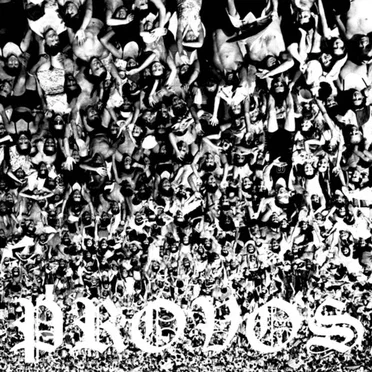 Provos by Provos - album cover