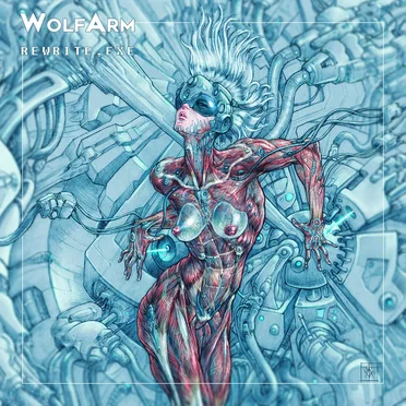 Rewrite.exe by Wolf Arm - album cover
