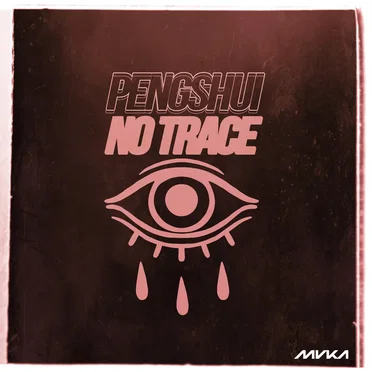 No Trace by PENGSHUi - album cover