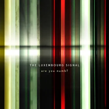 Are You Numb? by The Luxembourg Signal - album cover