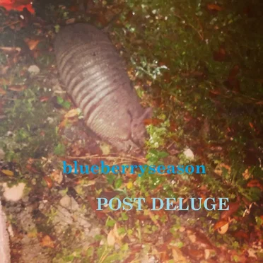 Post Deluge