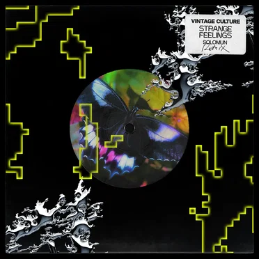 Strange Feelings (Solomun remix)