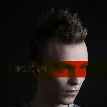 Mistakes by Mimicry - album cover
