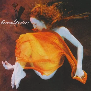 Heavenly Voices, Part V by Various Artists - album cover