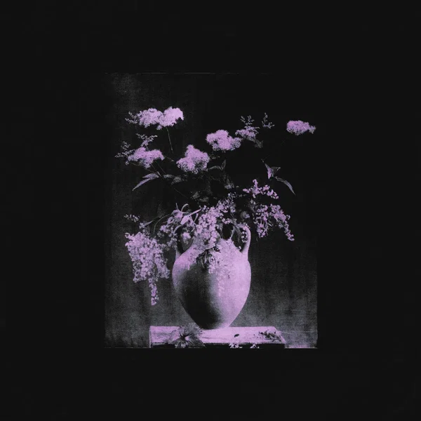 In a Black Frame