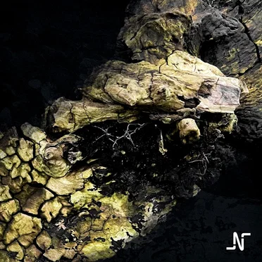 The Morning After the Night Before