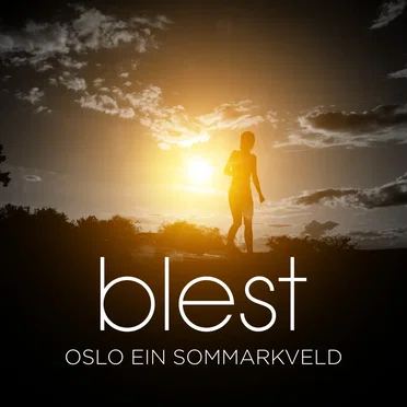 Oslo ein sommarkveld