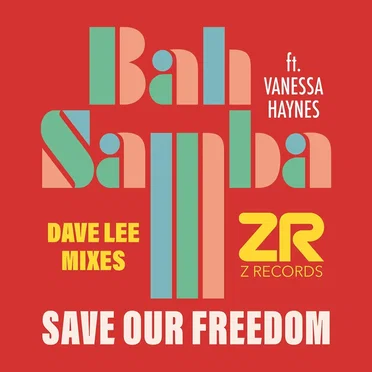 Save Our Freedom (Dave Lee Mixes)