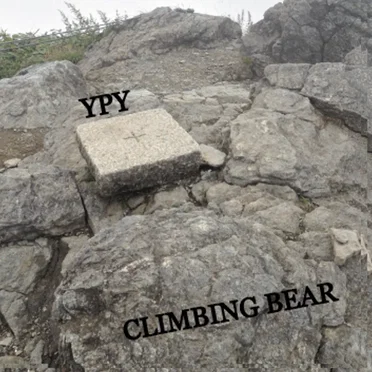 CLIMBING BEAR