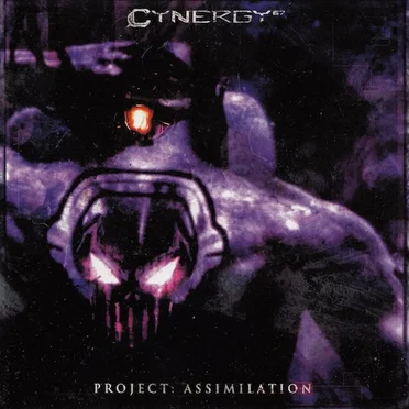Project: Assimilation