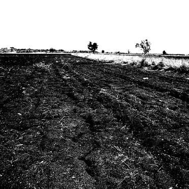 1st (Revise) by Vacant Wasteland - album cover