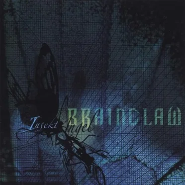 InsektAngel by Brainclaw - album cover