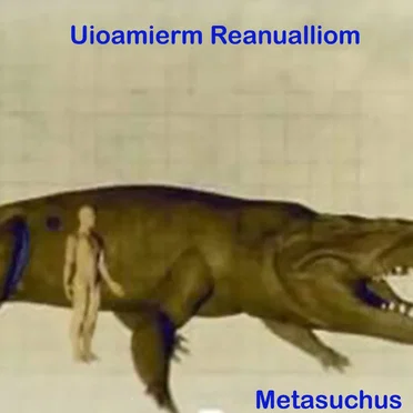 Metasuchus by Uioamierm Reanulliom - album cover