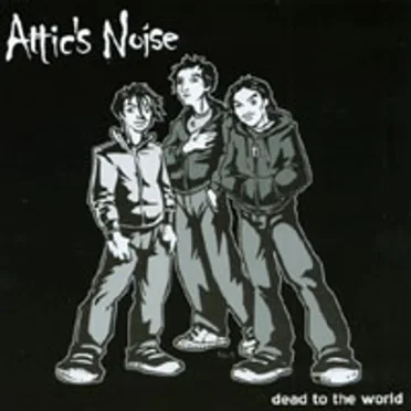 Attic's Noise