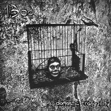 Domestic Tranquility by 13go - album cover