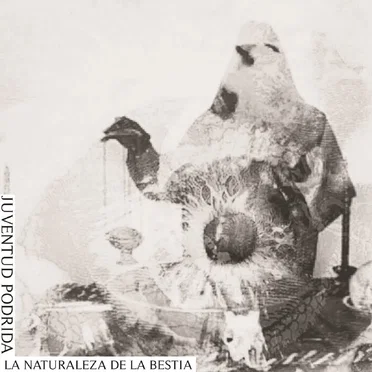 Juventud Podrida