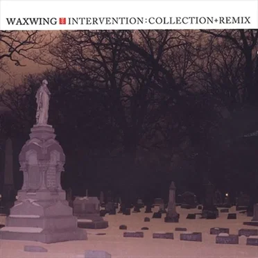 Intervention: Collection + Remix by Waxwing - album cover