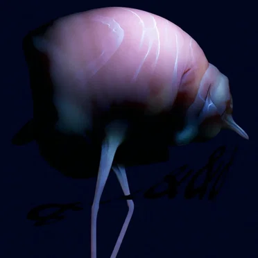 &&&&& by Arca - album cover