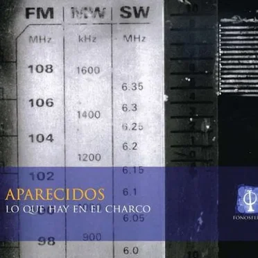 Lo Que Hay en el Charco