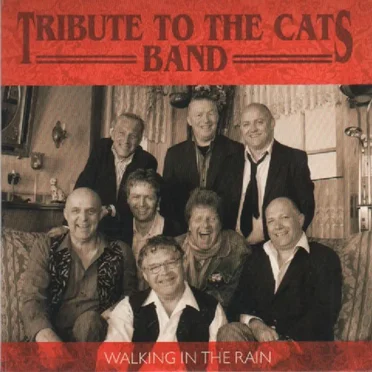 Walking in the Rain / I Walk Through the Fields by Tribute to The Cats Band - album cover
