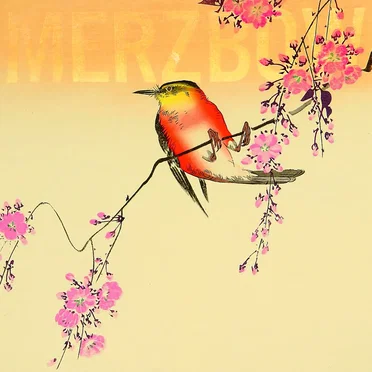 Nine Studies of Ephemeral Resonance Volume 1 – 9