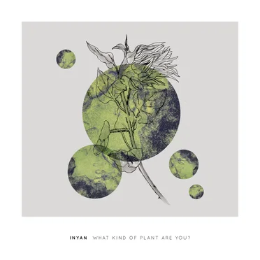 What Kind of Plant Are You?