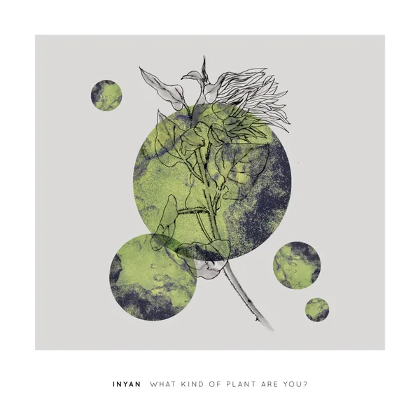 What Kind of Plant Are You?