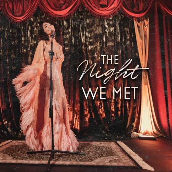 The Night We Met
