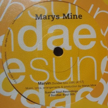 Marvin / Missing You by Marys Mine - album cover