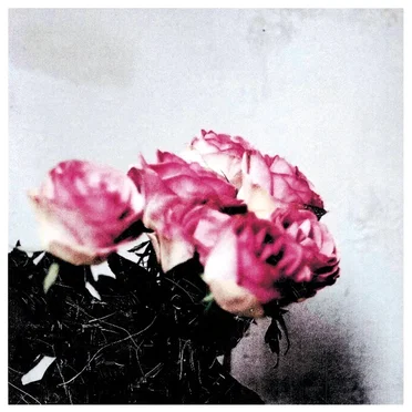 Love Logic by Minuano - album cover