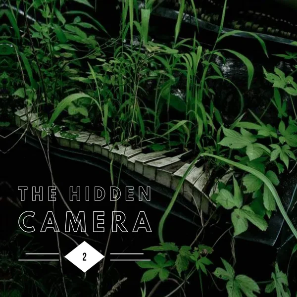 The Hidden Camera 2