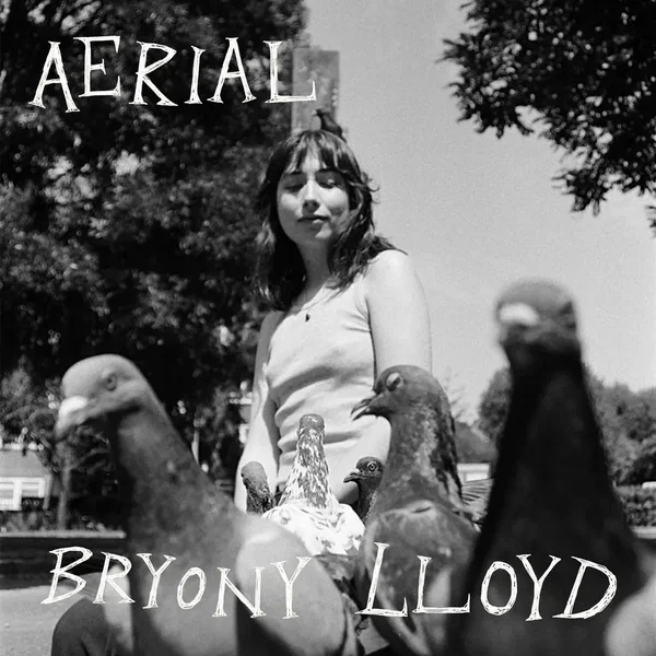 Aerial